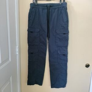 Pacsun Mens Loose Cargo Blue Cotton Blend Elastic Waist Pants M Hiking Outdoors